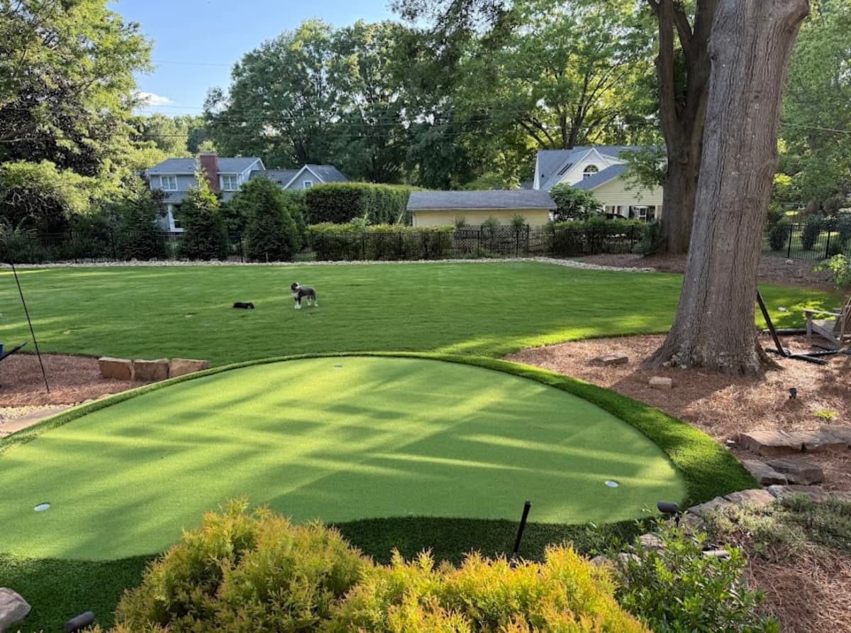 Pet-Friendly Putting Green & Lawn