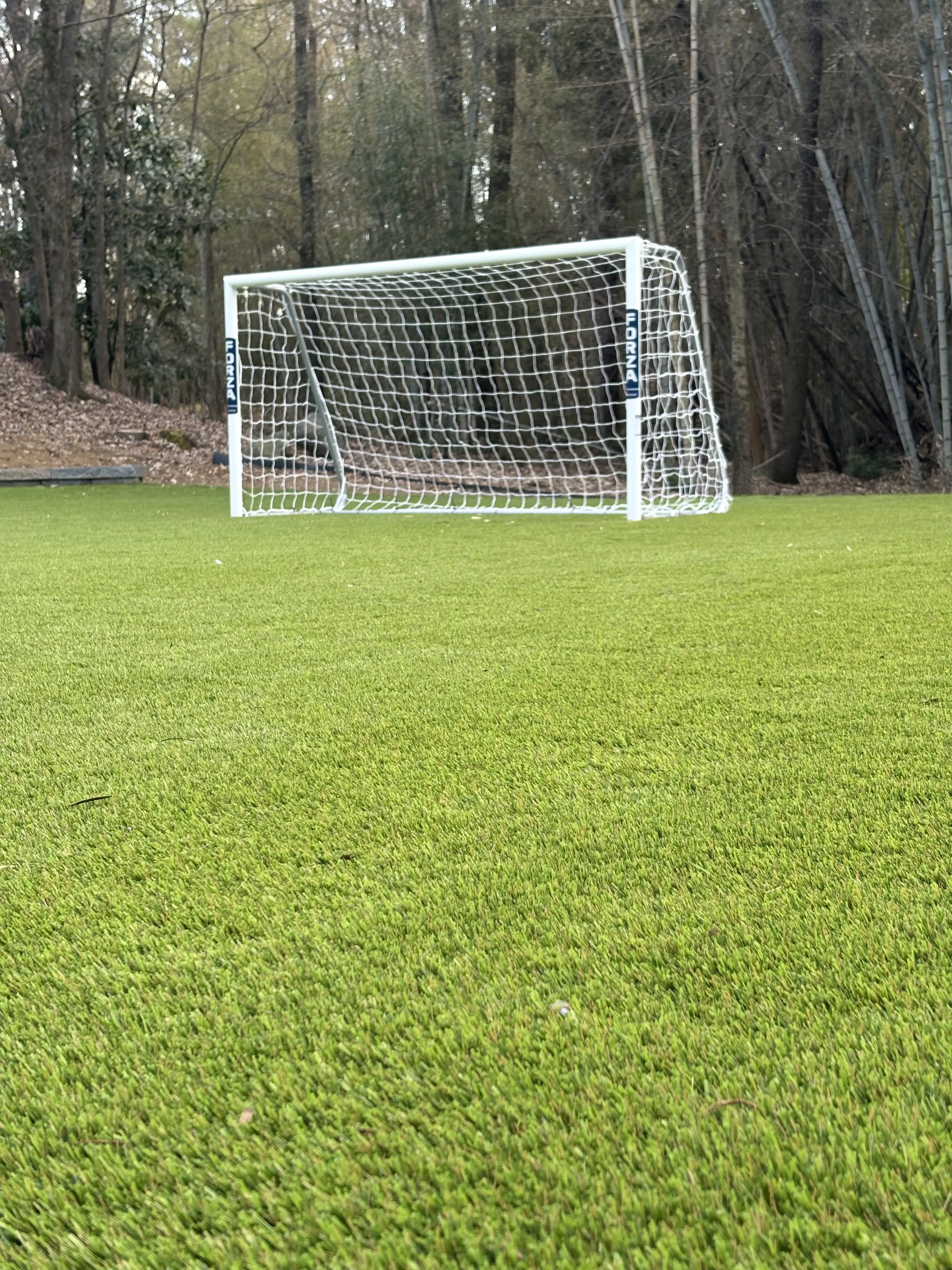 Backyard Sports Field — Soccer Goal